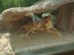 -北京野生动物园