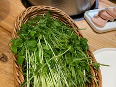 -四喜小胖·北京涮肉(五道营店)