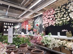 -宜家家居(哈尔滨商场店)