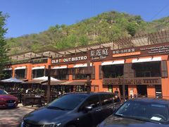 -Local泰莲庭(虹鳟鱼店)