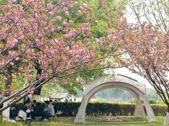 -九里河湿地公园