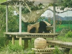 -苏州太湖国家湿地公园