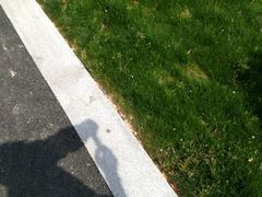 -天宁凯利时尚餐厅