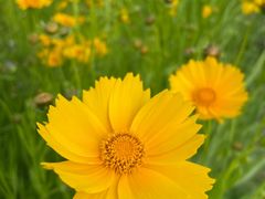 -苏州湾体育公园