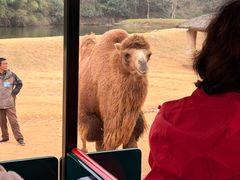 -杭州野生动物世界