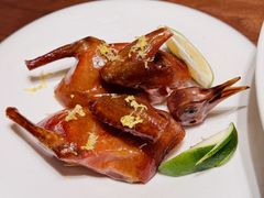 -觅唐MITONG(鸟巢店)