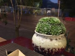 -野菌皇海景野生菌火锅(滨海大道店)