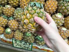 -三亚新鸿港水果一级批发市场