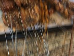 -特色油边心管烤串