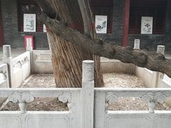 -窦大夫祠
