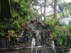 -绿光森林餐厅