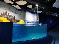 -梦幻海洋王国(吾悦广场张家港店)