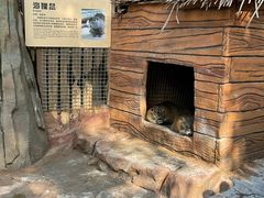 -杭州长乔极地海洋公园