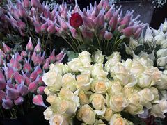 -何兮花店·气球派对鲜花店(马桥银春路万科城店)
