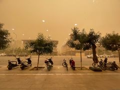 -老钟家烤羊排·敦伊阁清真餐厅胡羊焖饼