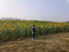 -南通鲜花小镇