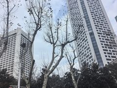 -南京金陵饭店