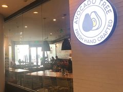 -油梨树 AVOCADO TREE(亮马桥店)