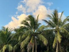 -东海岛旅游度假区