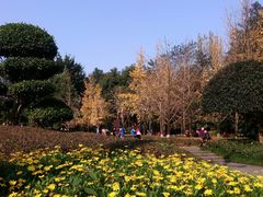 -重庆彩云湖湿地公园
