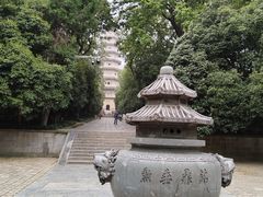 -灵谷景区