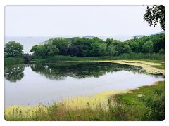 -上海市保健医疗中心(华东疗养院)