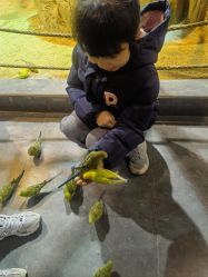 -酷嗒动物文化乐园(cutezoo西溪乐天城店)