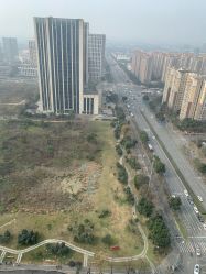 -Doris多里斯半永久纹眉·SMP纹发·发际线