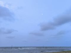 -日照海滨国家森林公园