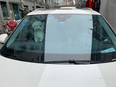 -BOP保镖隐形车衣NKD王者铠甲AX改色膜(徐汇授权店)
