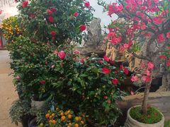 -双季花艺园艺市场(浦东店)