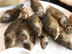 -水乡人家私房菜(逢简店)