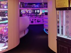 -巴特餐饮6加1音乐餐吧·新疆菜