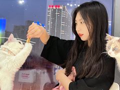-怪兽屋·羊驼·猫咖·狗咖(俊华广场店)