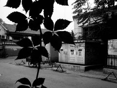 -VOYAGE COFFEE(北锣鼓巷店)