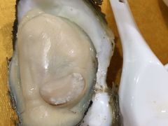 -蚝专家(北滘店)