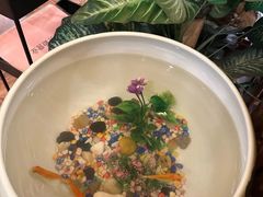 -荷花泰菜(东方新天地店)