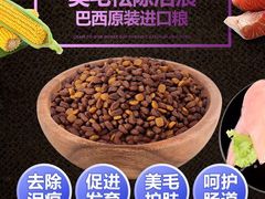 -宠屋宠物美容店