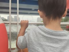 -海河游船-永乐码头(大悲院)