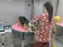 -宠福鑫康馨动物医院·骨科·眼科