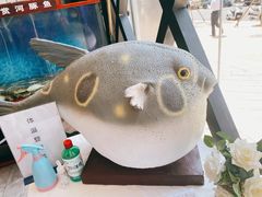 -肆月河豚·新淮扬(金融街店)