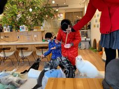 -猫色咖啡·猫咖