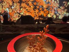 -地球美食剧场
