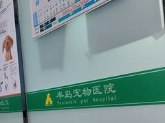 -半岛宠物医院24小时(科华中路店)