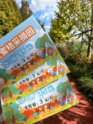 -前小桔亲子创意农场·草莓采摘·露营烧烤