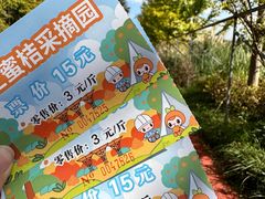 -前小桔亲子创意农场·草莓采摘·露营烧烤