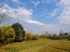 -白鹭湾湿地公园