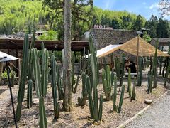 -MOJ coffee(瓯海泽雅水碓坑店)