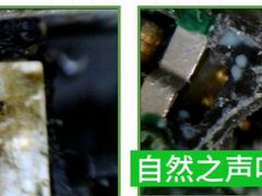 -自然之声助听器·呼吸机(翠微大厦店)