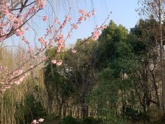 -自然谷恐龙园